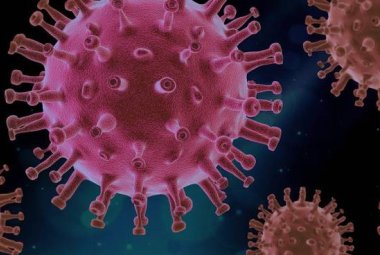 COVID-19. Calano i test in Puglia e anche i nuovi positivi nel Salento