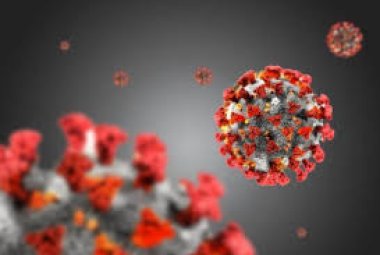 COVID-19. Cala in Puglia l'indice di positività (9%). 75 nuovi casi nel Salento
