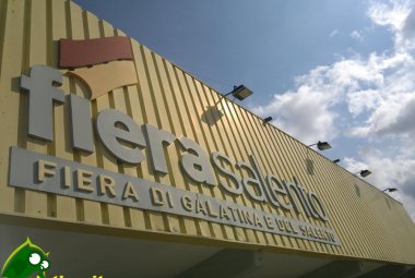 Il Quartiere Fieristico di Galatina sede di una Industry Academy Multisettoriale?