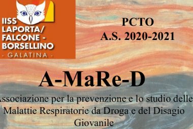 “La prevenzione delle malattie respiratorie legate all’utilizzo di droghe” 