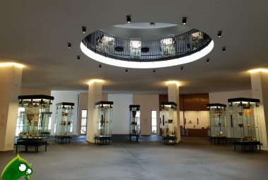 Il Museo Castromediano diventerà sede vaccinale