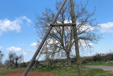 Pali sistemati