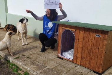 "Una famiglia per fido" 