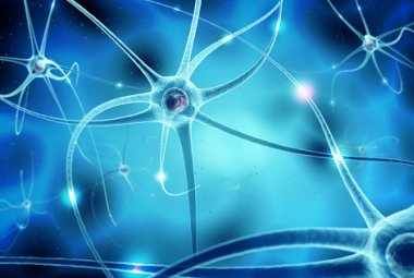 Atrofia muscolare spinale: nuove conoscenze