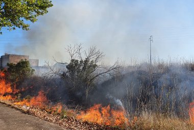 "Il disastro ambientale incombe sul Salento"