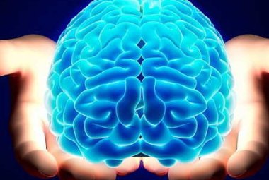 “Il cervello è l’organo del corpo che in assoluto consuma più energia"