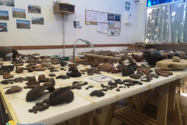 Scoperta a Torre Guaceto necropoli dell'età del bronzo