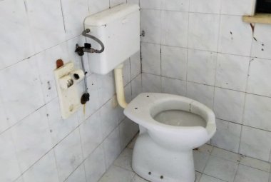 "Infuriata contro gli idioti"