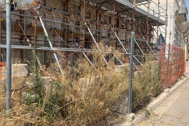 "Rigogliosi alberelli di fico sul tetto della vecchia chiesa di Santa Lucia"