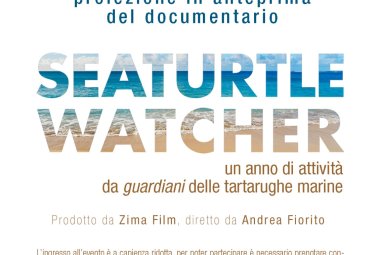 Un documentario su un anno di attività di Seaturtle Watcher