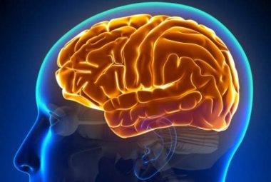 RAPID, un nuovo metodo per "vedere" il cervello