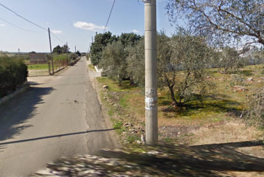 Strada comunale Roncella prima. "Ci scusiamo con il proprietario. Anche a noi dispiace che quegli alberi vengano estirpati"