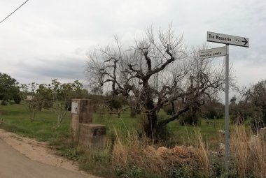 Strada Roncella prima: "Siamo sempre in attesa di risposte concrete dall'Amministrazione comunale"