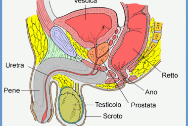 Il tumore alla prostata colpisce di più al nord ma fa più vittime al sud