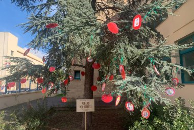L'“Albero dei Diritti” dei bambini è cresciuto al Polo 3 di Galatina
