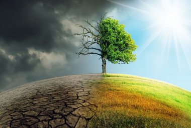 "La nostra campagna elettorale sarà basata sui temi e non sulle favole". Un incontro su Superbonus, Comunità Energetiche e Reddito Energetico