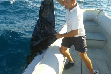 Sub raccoglie 150 ricci con le bombole, 4000 euro di multa e il sequestro dell'attrezzatura