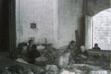 L'odore del tabacco