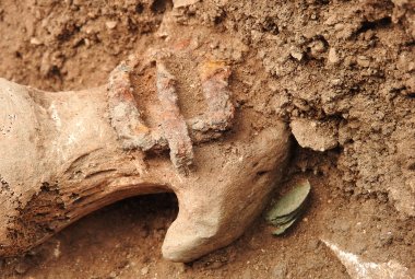 “Monete intoccabili. I gruzzoli di monete di due morti di peste nella Puglia settentrionale del XIV secolo. L’apporto delle analisi del DNA”