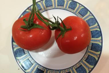 Nasce a Lecce un nuovo pomodoro ricco di vitamina D