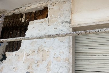 A Galatina un alveare fra le crepe di un muro