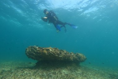 Sott'acqua a Porto Cesareo la storia del Mediterraneo