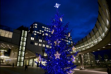 L'albero di Natale? Lo facciamo in Europa. La scuola primaria 'Lecciso' di Galatina fra le prescelte