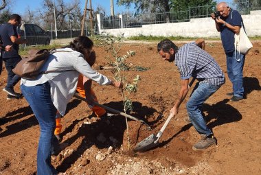 "Adottiamo un Ulivo!" compie due anni ed è già un successo