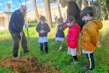 Un albero, segno di speranza 