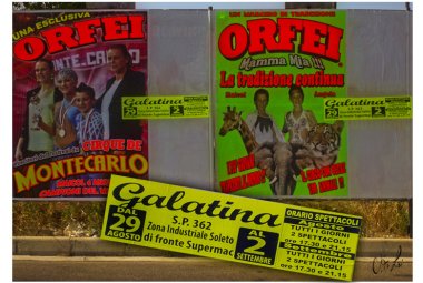 'Circo con animali vietato a Galatina? No problem, lo piazziamo a Soleto... o quasi'
