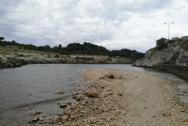 "Coste e mari pugliesi tra biodiversità naturale e ricchezza regionale"