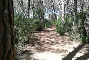 Biodiversità, una parola abusata