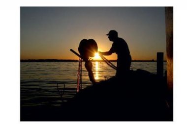Nuovi attrezzi da pesca nell'Area marina protetta, un convegno