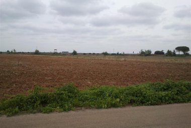 La conferenza dei servizi dà il via libera all'insediamento commerciale in Contrada Cascioni