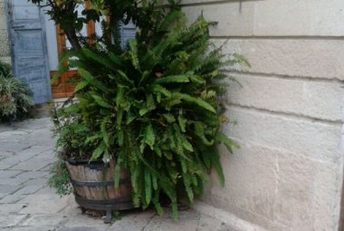 Sparita la panchina di 'Luis', scherzo o inciviltà?