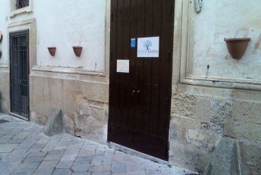Vandali strappano dal muro le piante in via Robertini