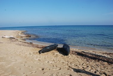 La marijuana viaggia in acquascooter, oltre tre quintali e mezzo recuperati a Torre Veneri