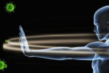 Scoperta l’ereditarietà del sistema immunitario