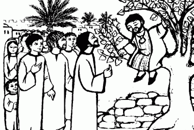  «Zaccheo, scendi subito, perché oggi devo fermarmi a casa tua»
