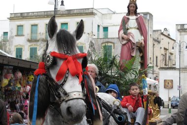 Fiera di Santa Caterina d'Alessandria. I partecipanti, la benedizione degli animali, le premiazioni