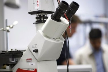 Caratterizzata l’alterazione del metabolismo della sclerosi multipla
