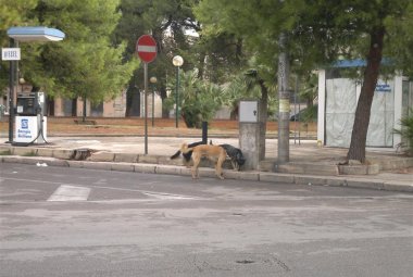 Il degrado della zona intorno alla Stazione viene da lontano