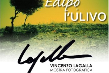 Edipo e l'ulivo