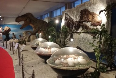 Ultimo giorno per "Creatures Studios - Emozioni dal cinema"