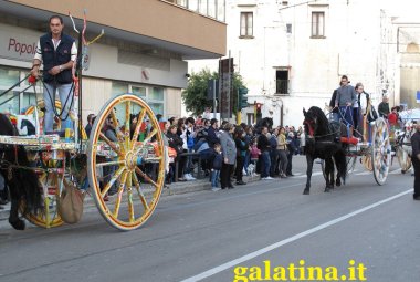 'Non erano maniere forti ma esercizi di dressage'