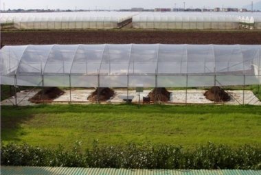 Galatina ospiti un impianto di compostaggio, la Regione è pronta a finanziarlo