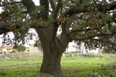 Circonvallazione sud-ovest di Galatina. Dopo l'incontro con Gabellone eliminate le criticità