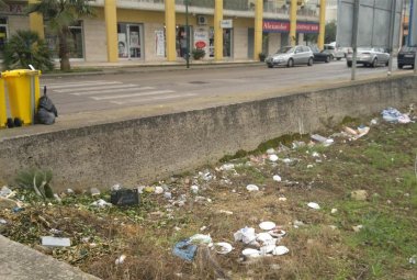I cassonetti discarica e i rovi di via Caduti di Nassiriya