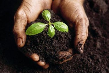 "Impianto di compostaggio. Montagna risponda alle nostre domande"