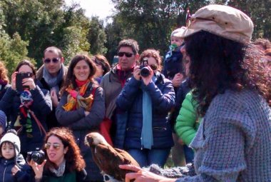 "Liberiamoci in volo", i rapaci curati dal Museo di Calimera